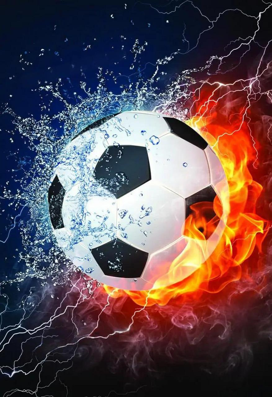 乐球直播免费下载使用示意图