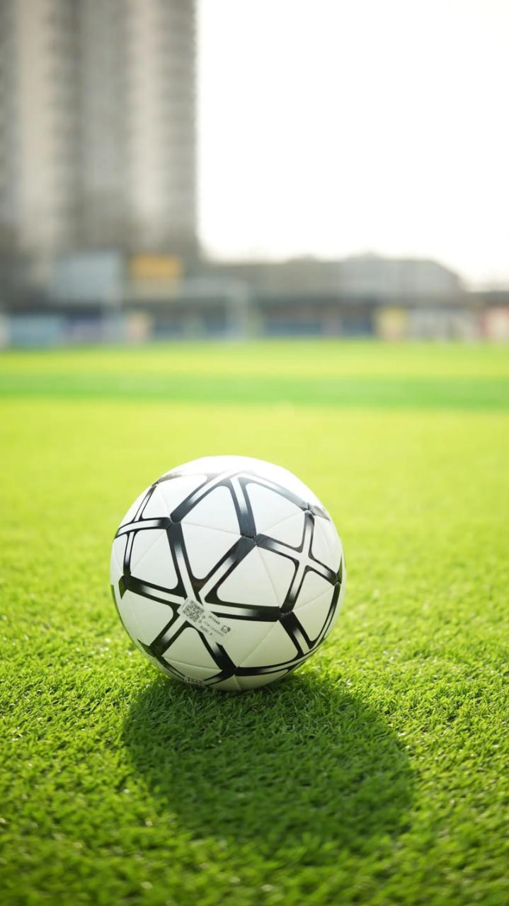 用户王女士使用体验分享